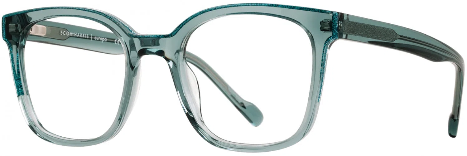 Scott Harris SH836 Eyeglasses - view 9